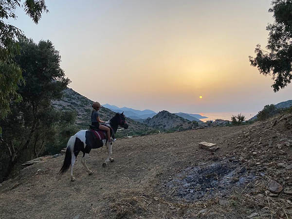 Attività ecologiche a cavallo a Creta