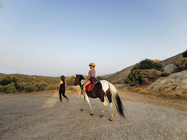 Horse riding Eco activities on Crete