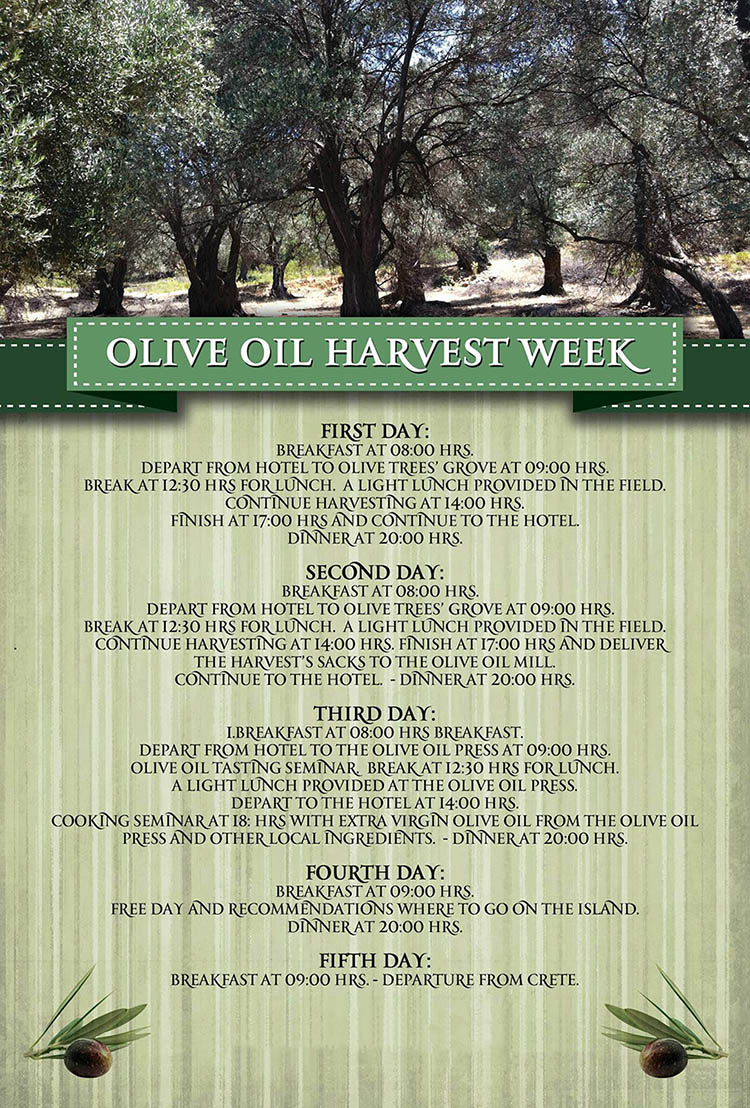 Ecotourism Crete Greece - olive oil harvesting