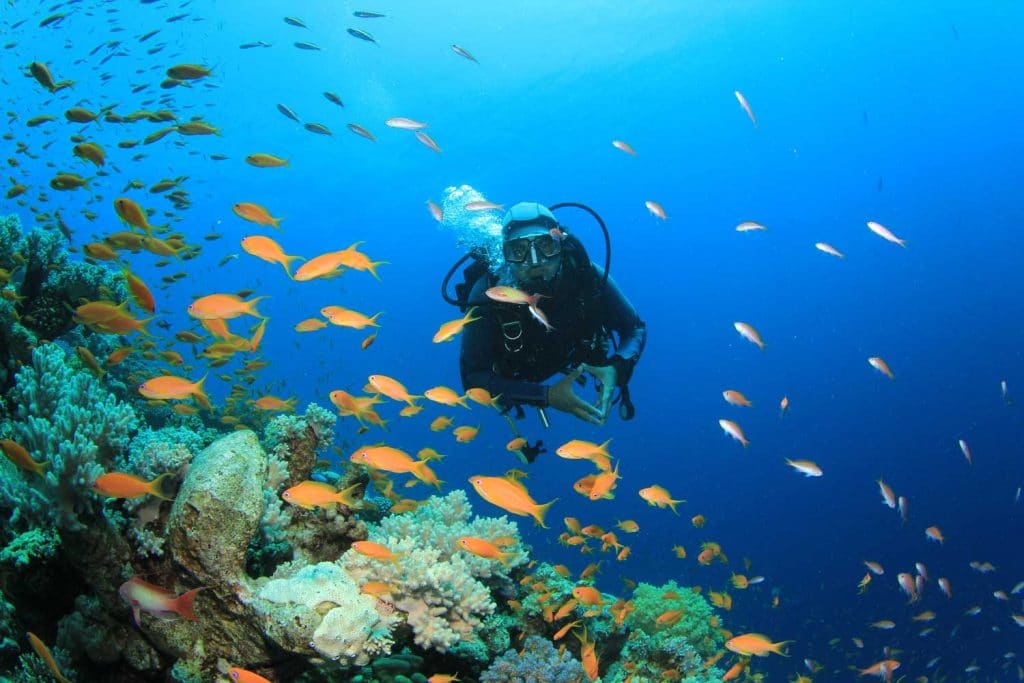 scufundări în Creta