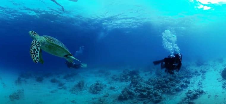 immersioni subacquee a Creta